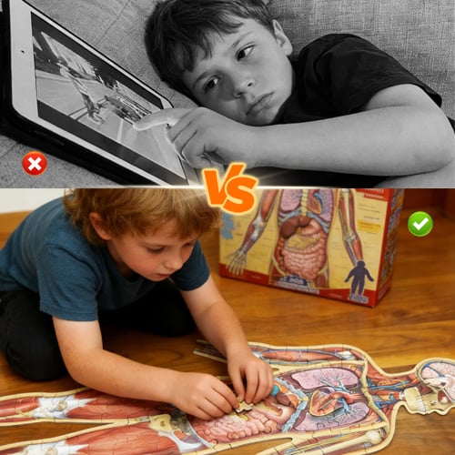 Levensgrote Anatomie Puzzel voor Kinderen